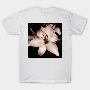 Pink stargazer lily T-Shirt